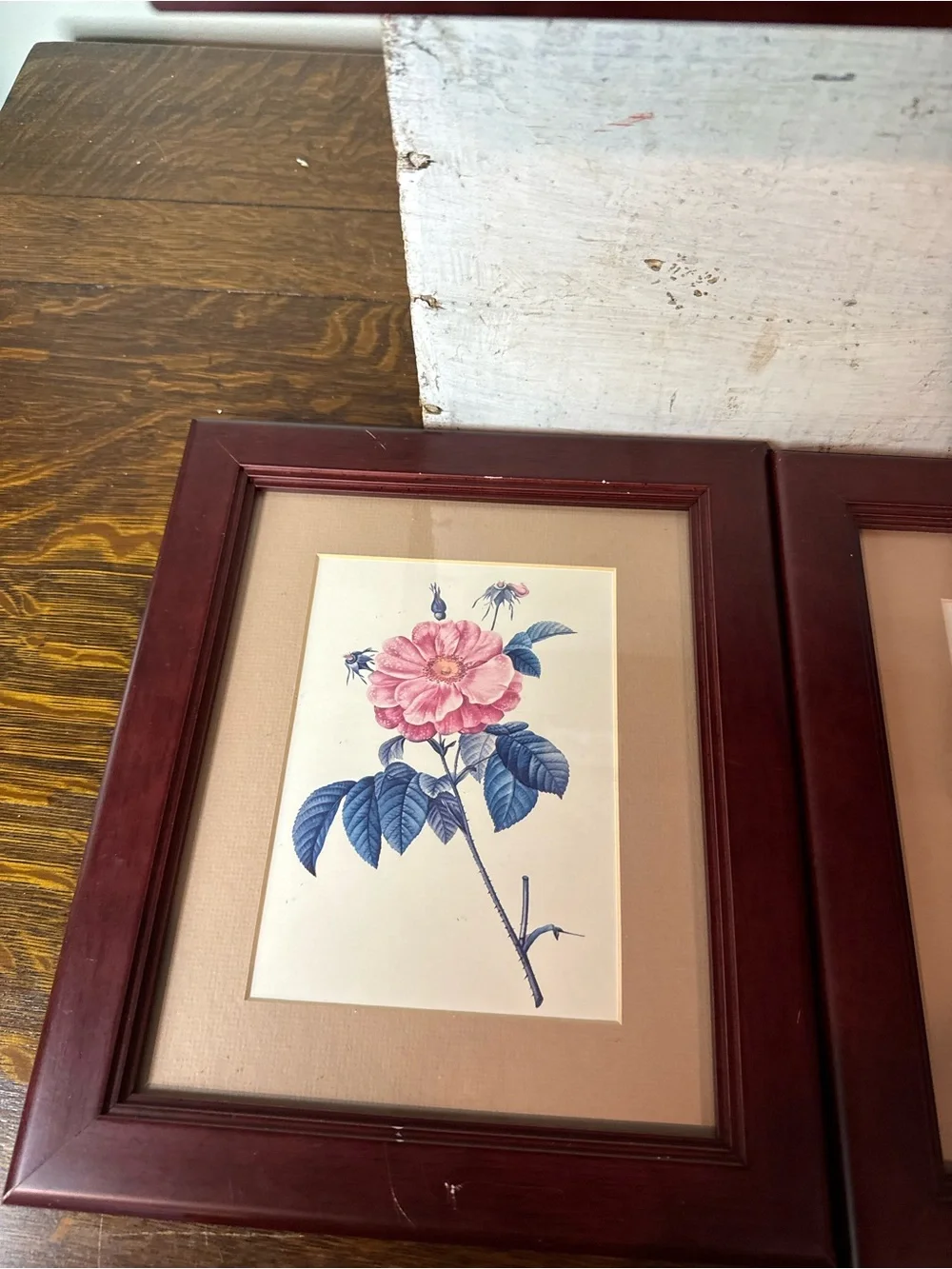 Set Of 7 Vintage Floral Botanical Pink, Mauve & Cream Art Print, Matted & Framed